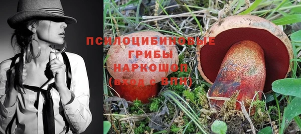 спайс Покачи