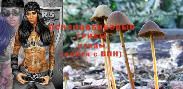 спайс Покачи