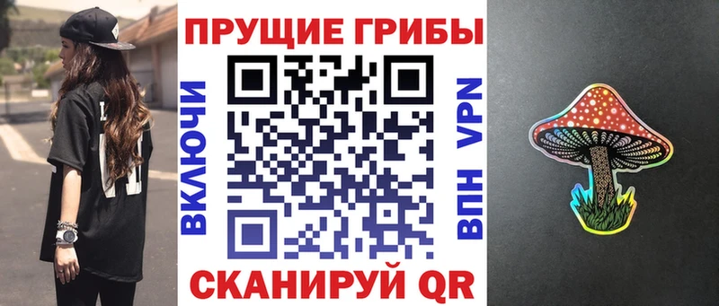 Псилоцибиновые грибы GOLDEN TEACHER  Кущёвская 